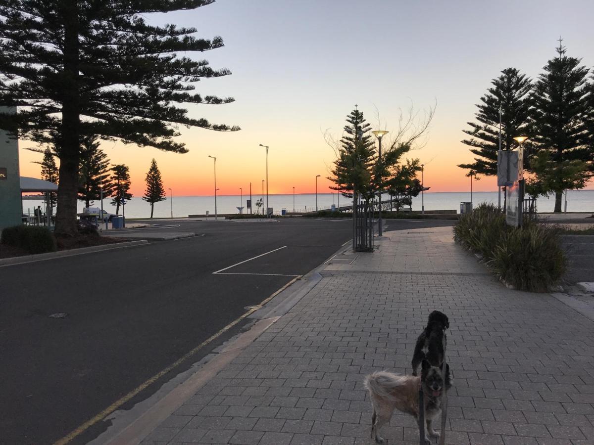 Big4 Ceduna Tourist Park Екстериор снимка
